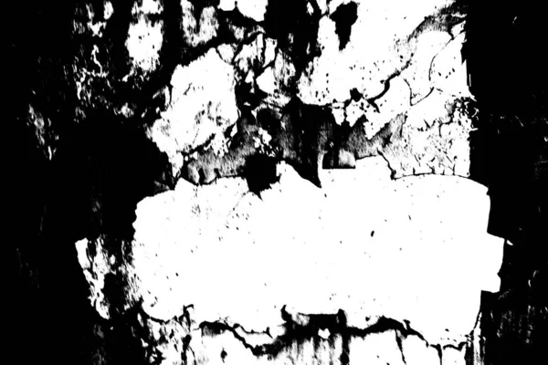Absztrakt Háttér Monokróm Textúra Kép Tartalmaz Egy Hatást Fekete Fehér — Stock Fotó