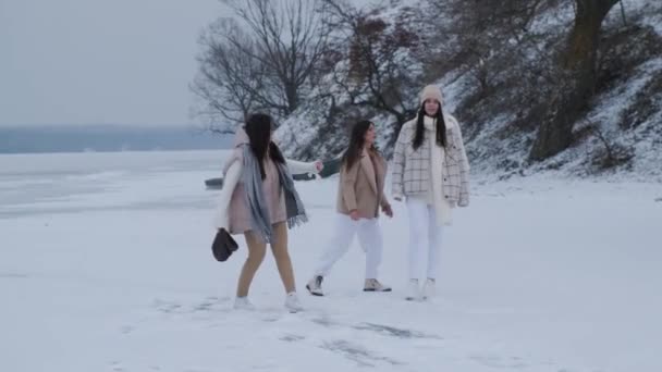 Grupo de três mulheres felizes se divertindo e brincando com a neve no parque de inverno. — Vídeo de Stock