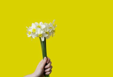 Kız elinde bir buket beyaz nergis tutuyordu. Sarı arka planda nergisler.
