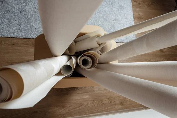 Rolls Paper Cardboard Box Side View — Photo