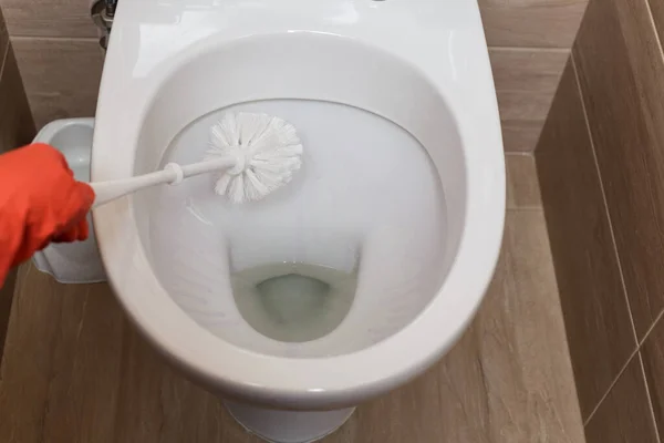 home cleaning concept. Toilet cleaning. A girl in red gloves cleans the toilet with a brush.