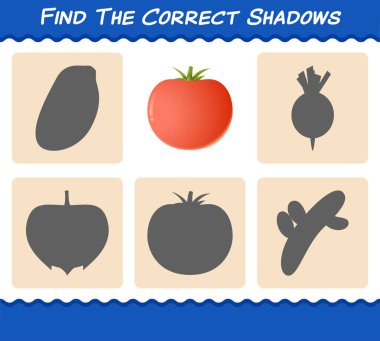 Domatesin doğru gölgelerini bul. Arama ve Eşleştirme oyunu. Okul öncesi çocuklar ve bebekler için eğitici bir oyun