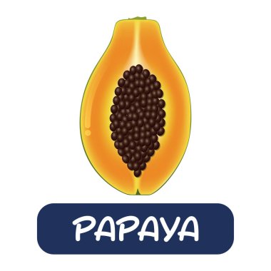 beyaz arkaplanda izole edilmiş papaya meyve vektörü