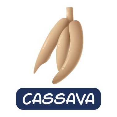 beyaz arkaplanda izole edilmiş karton kasava sebze vektörü