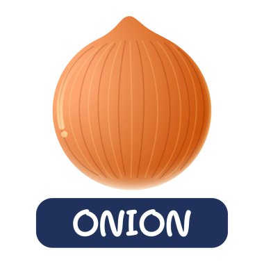 beyaz arkaplanda izole edilmiş karikatür soğan sebze vektörü