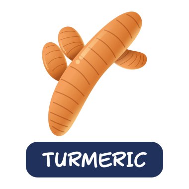cartoon turmeric vegetables vector isolated on white background