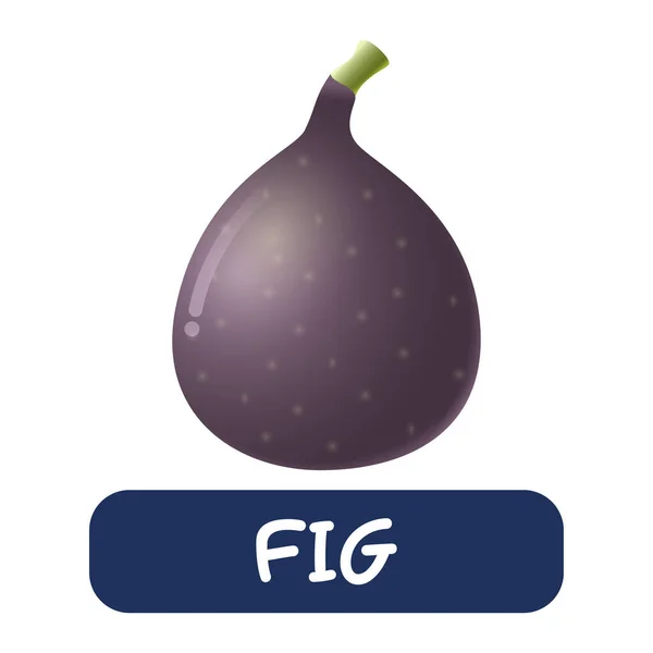 Cartoon Fig Fruit Vector Isolated White Background — Image vectorielle