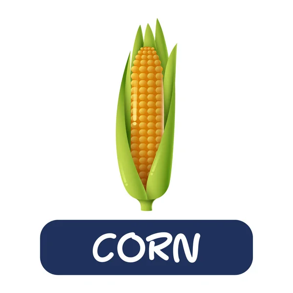 Cartoon Corn Vegetables Vector Isolated White Background — Stok Vektör