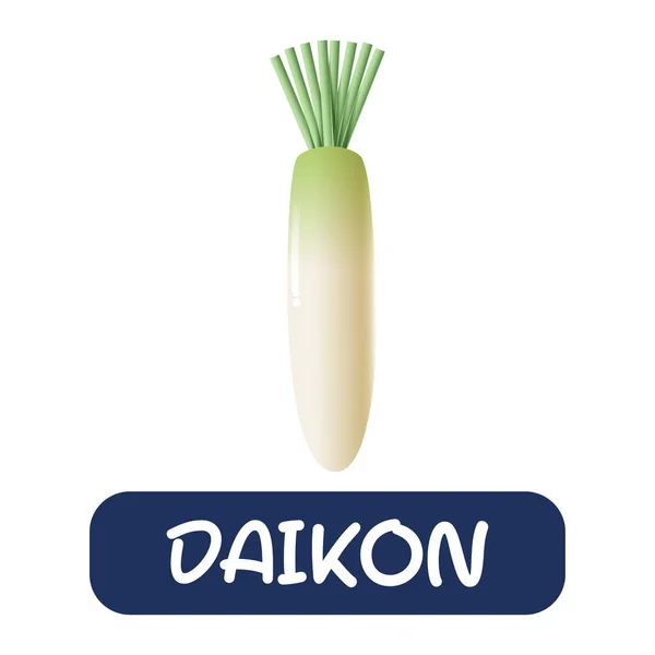 Cartoon Daikon Vegetables Vector Isolated White Background — Image vectorielle
