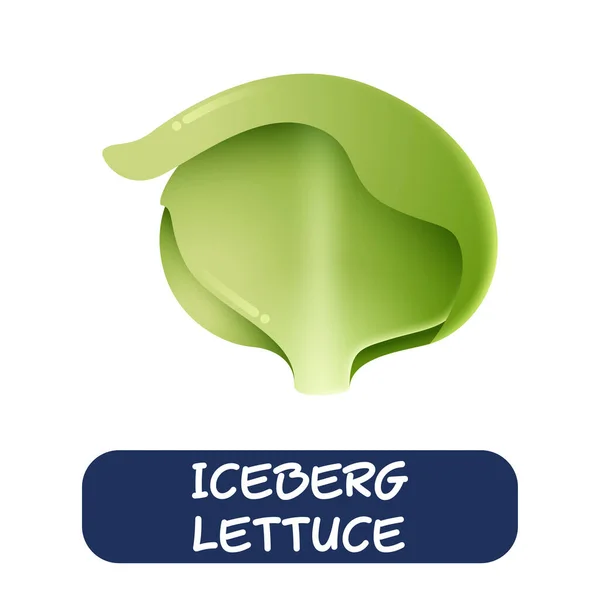 Kreslený Ledový Salát Zelenina Vektor Izolované Bílém Pozadí — Stockový vektor