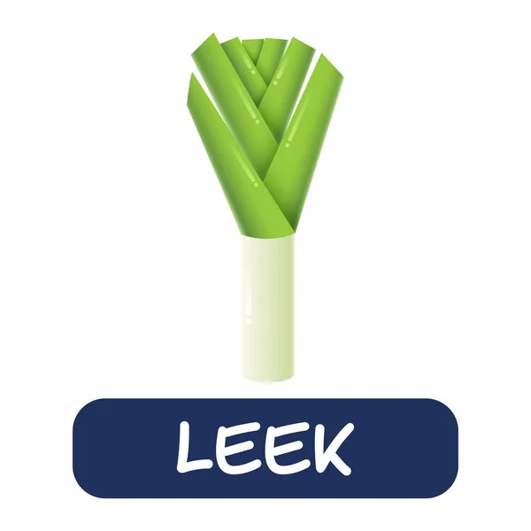 Cartoon Leek Vegetables Vector Isolated White Background — Image vectorielle