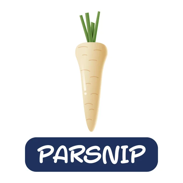 Cartoon Parsnip Vegetables Vector Isolated White Background — Image vectorielle