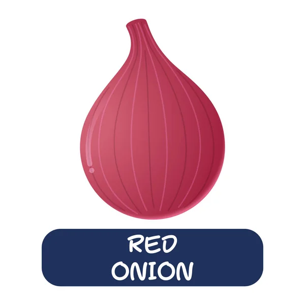 Cartoon Red Onion Vegetables Vector Isolated White Background — Image vectorielle