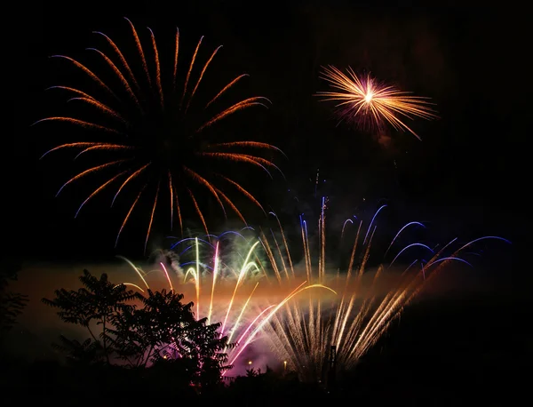 Tree silhouette and fireworks — Stock Photo, Image