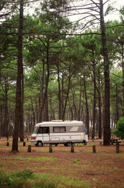 Çam ormanında eski bir minibüs. Avrupa seyahati. Eski bir eski minibüs. Minibüs. Minibüsle git.. 