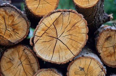 Tahta, açık havada depolama yapar. Odun yığını dışarıda. Ahşap kazık. Ahşap arkaplan.