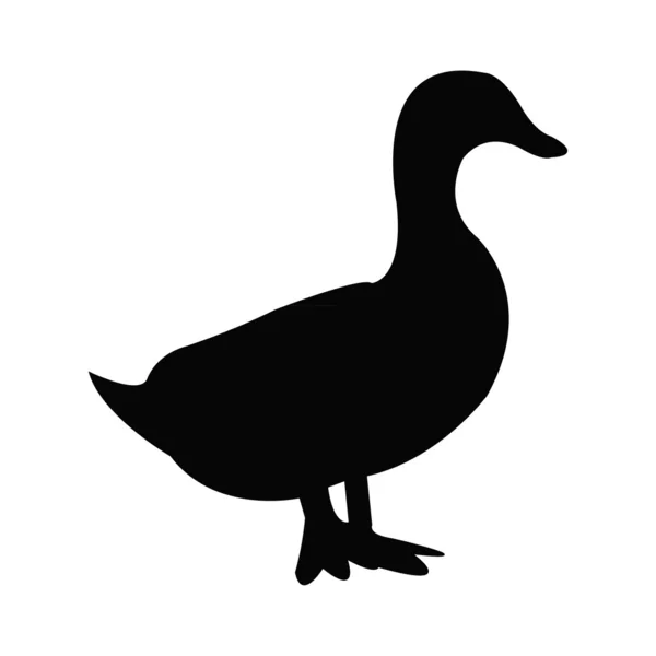 Duck Vector Graphics
