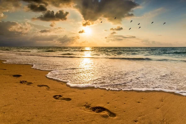 Footprints In The Sand Ocean Sunset With Birds Flying Overhead