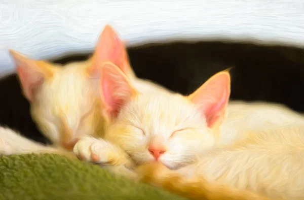 Two Cute Kittens Cuddled Sleeping Together — стоковое фото