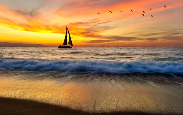 Sailboat Sailing Ocean Flock Birds Flying Overhead Colorful Sunset Sky — Stock Photo, Image