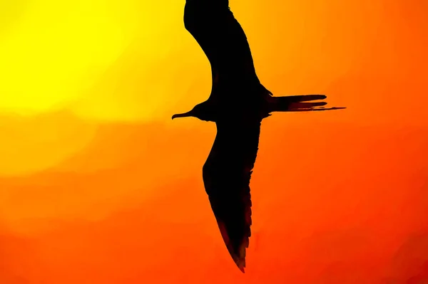 Een Enkele Vogel Silhouet Vliegen Met Vleugels Spreiden Een Abstract — Stockfoto