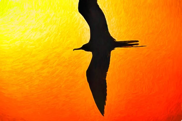 Pojedynczy Ptak Sylwetka Latanie Skrzydłami Rozłożone Abstrakcyjny Styl Malarstwa Ilustracja — Zdjęcie stockowe