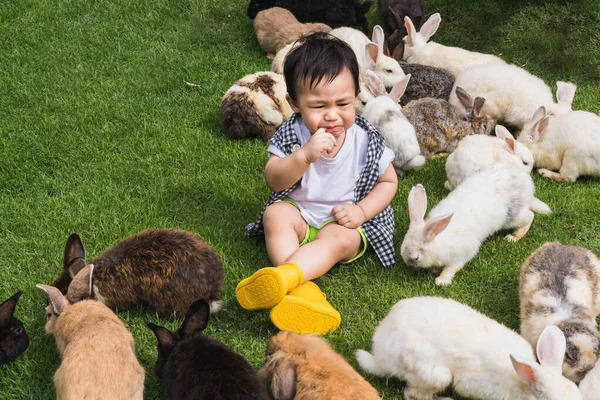 Asian Cute Boy Sucking Fingers Crying Lawn Surrounding Rabbits Stock Fotografie