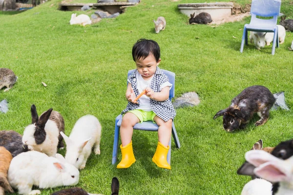 Asian Cute Boy Happy Sitting Chair Bunnies Stock Obrázky