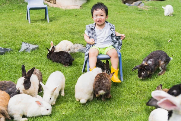 Asian Cute Boy Smiling Sitting Chair Garden Lawn Bunnies Happy Jogdíjmentes Stock Képek