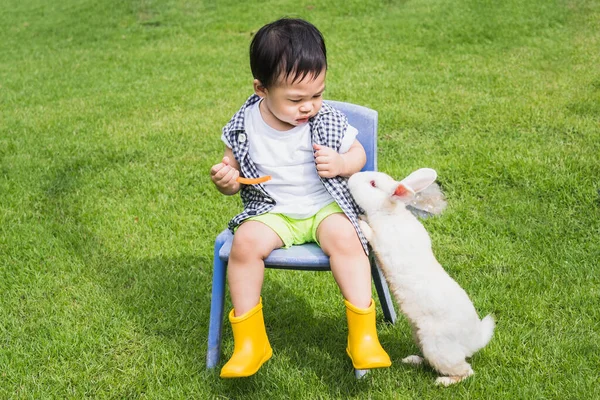 Asian Cute Boy Sitting Chair Garden Lawn Holding Carrots Hand Royalty Free Stock Obrázky