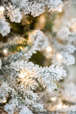 Noel ağacının dalları 