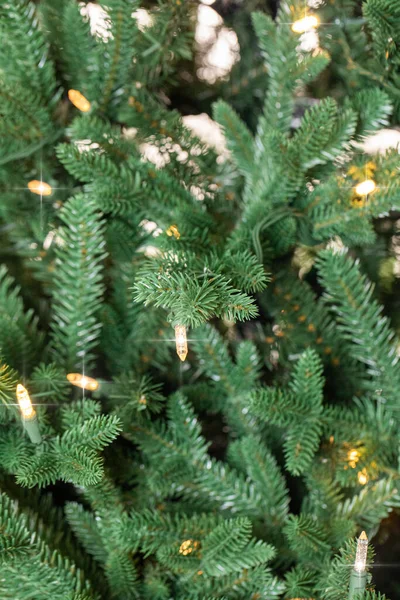 Branches Christmas Tree — Stock Photo, Image