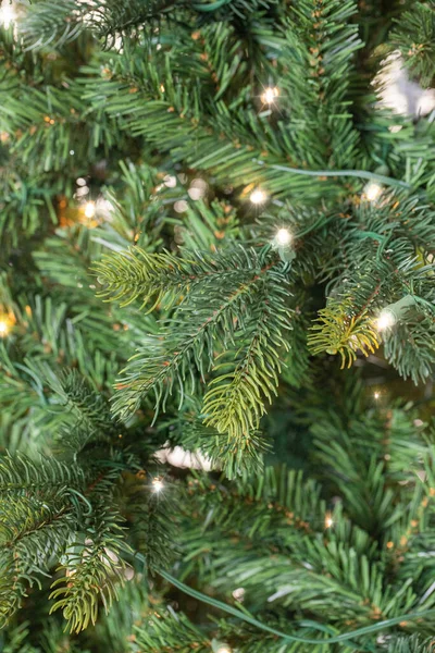 Ramos Uma Árvore Natal — Fotografia de Stock