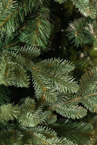 Ramas Árbol Navidad — Foto de Stock