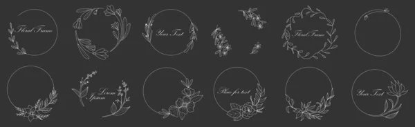 Botanische Cirkel Frame Handgetekende Ronde Witte Lijn Zwart Bladeren Bloemen — Stockvector