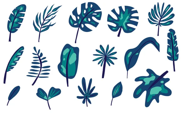 Leaves Tropical Blue Jungle Exotic Leaf Palm Monstera Banana Botanical — Stockvector