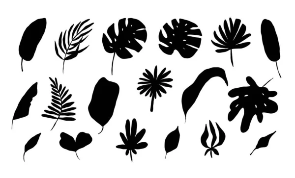 Leaves Tropical Black Silhouette Jungle Exotic Leaf Palm Monstera Banana — Stock Vector
