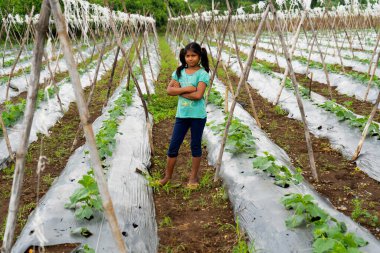 NAGPUR, MAHARASHTRA, Hindistan, 24 Eylül 2021: Tarlada çalışan çiftçi.