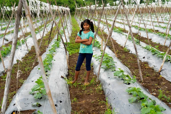 NAGPUR, MAHARASHTRA, Hindistan, 24 Eylül 2021: Tarlada çalışan çiftçi.