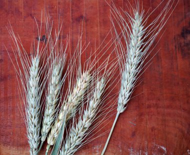 Tahta masada buğday kulağı, sağlıklı gıda konsepti..