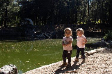 Little twin girls two years old walking in the park on a sunny day