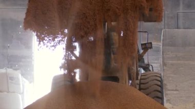 Çamur Kumu, Derecelendirme Ekstrem Yavaş Hareketinden Düşüyor