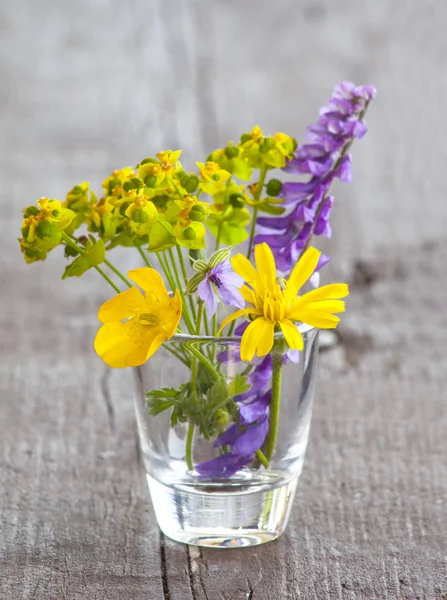 Kwiaty w szklanym wazonie — Zdjęcie stockowe
