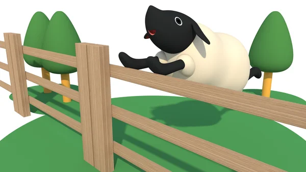 Овцы в заборе — стоковое фото