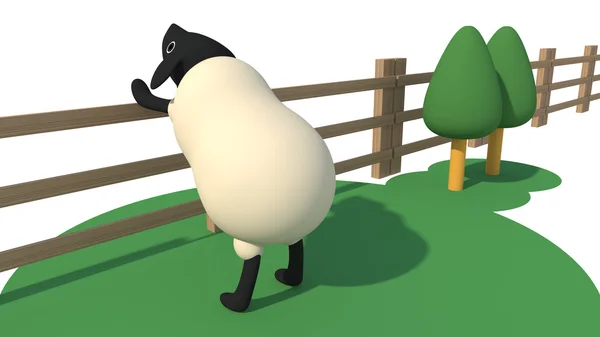 フェンスの羊 — ストック写真