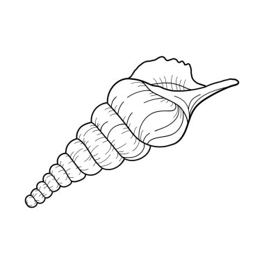 El yapımı kaval kemiği kabuğu. Davetiyeler, tebrik kartları, posterler, afişler, afişler ve daha fazlası için tasarım ögesi. Vektör illüstrasyonu beyaz arkaplanda izole edildi.