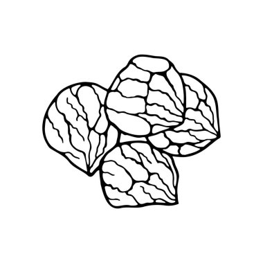 Vektör el yapımı kestane ağacı. İspanyol tatlısı. Menü kafe, bistro, restoran, fırın, etiket ve paketleme için tasarım elemanı. Beyaz bir arkaplanda resim.