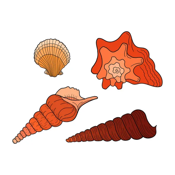 Deniz Kabukları Hazır Denizci Takımı Deniz Kabuğu Koleksiyonu Farklı Şekillerde — Stok Vektör
