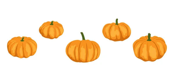 Set Pumpkins Vector Illustration Design Poster Banner Print — 스톡 벡터