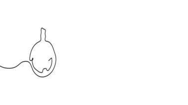 Animated illustration for Halloween. Continuous One Line. Hand-drawn minimalist style. 4K video.
